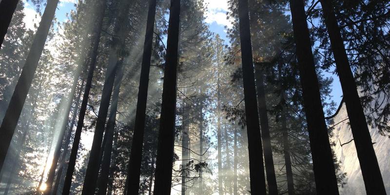 Locking街舞课程全解析:从基础律动到舞蹈交流的艺术进阶