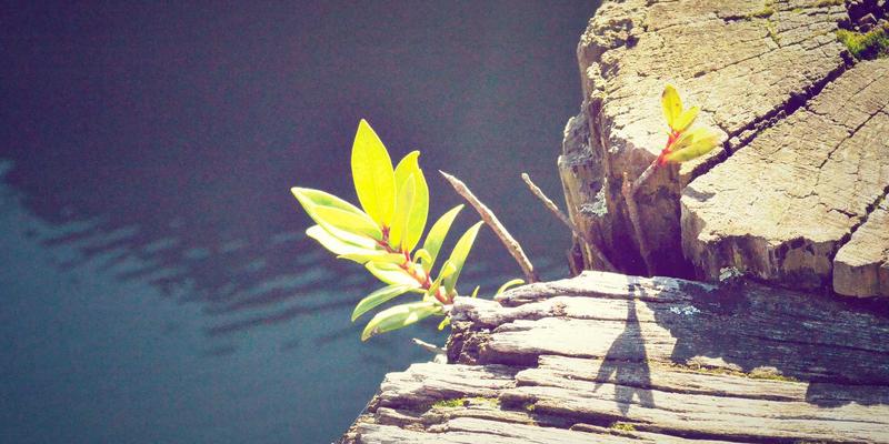 Locking：解锁街舞文化密码，开启专业街舞课程之旅