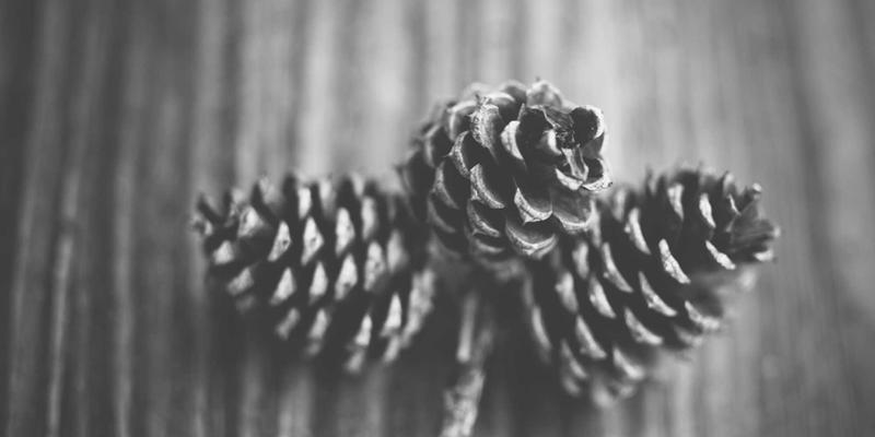 Popping与Locking的魅力：在手舞堂探索儿童街舞如何塑造自信开朗的性格