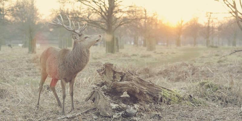 Popping与舞蹈文化：街舞工作坊如何成为企业团队建设的新引擎