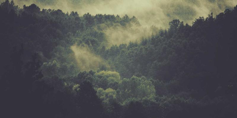 从Locking到Hip-hop:掌握街舞培训核心,传承舞蹈文化精髓