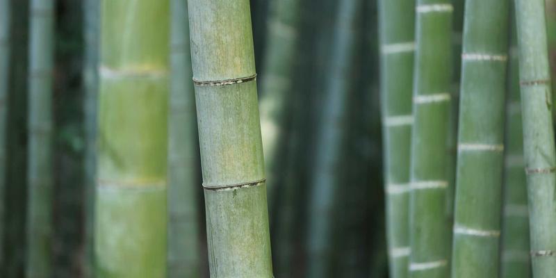 引爆流量密码：抖音与小红书的街舞品牌营销全攻略 | 深度解析Breaking与Hip-hop文化传播