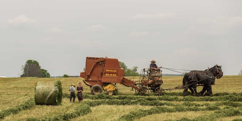手舞堂Breaking街舞培训选址秘籍：商圈、社区与舞蹈生态的黄金三角