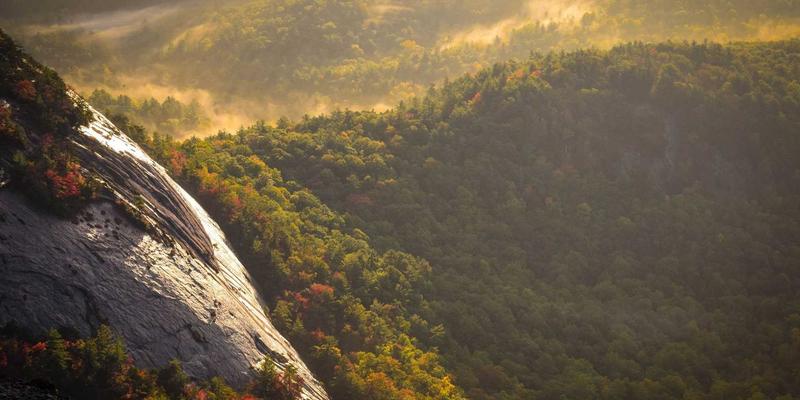 手舞堂深度解析：线上街舞培训课程与线下教学效果对比，哪种更适合你的Hip-hop舞蹈文化之旅？