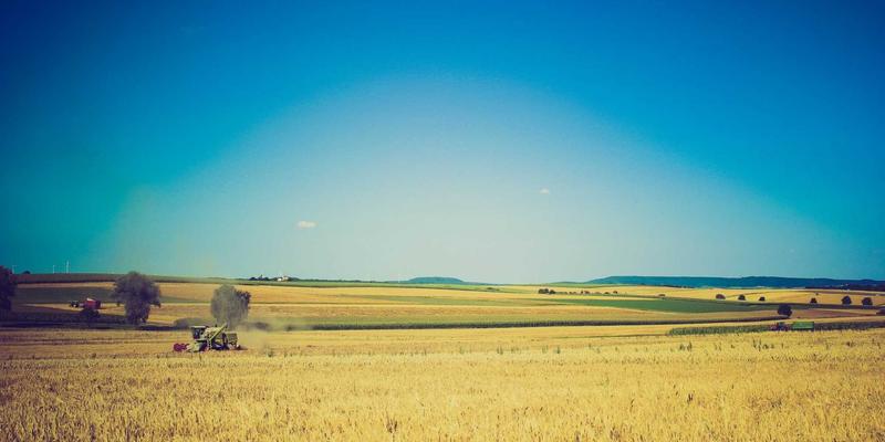 暑期街舞集训营效果深度分析：短期高强度训练对Locking和Breaking学习真的有效吗？