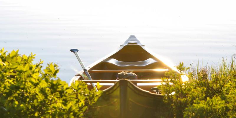 线上街舞教学VS线下实体课：Locking舞者该如何选择？深度解析与混合学习模式探讨