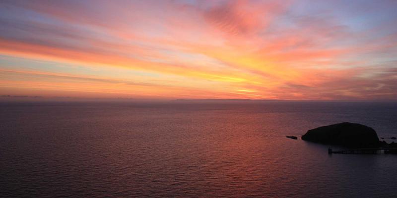 街舞培训完全指南:从Popping到Breaking的进阶之路